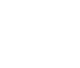 Icoon - Compressorolie